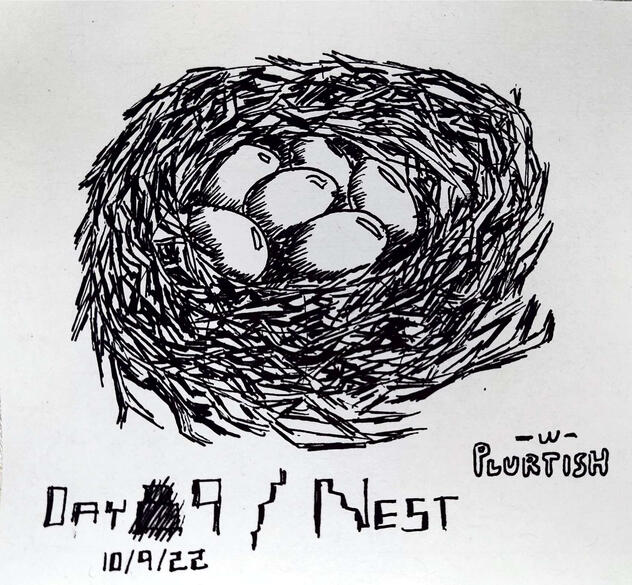 Day 9 | Nest